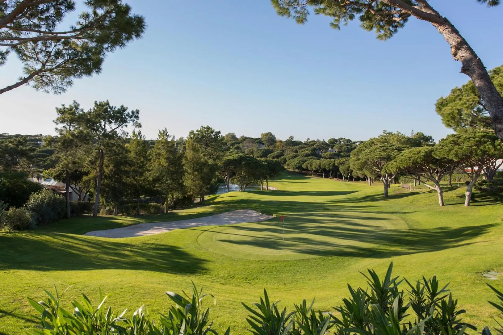 Апартаменты Oleander Terrace Albufeira Фару 0*,  Португалия