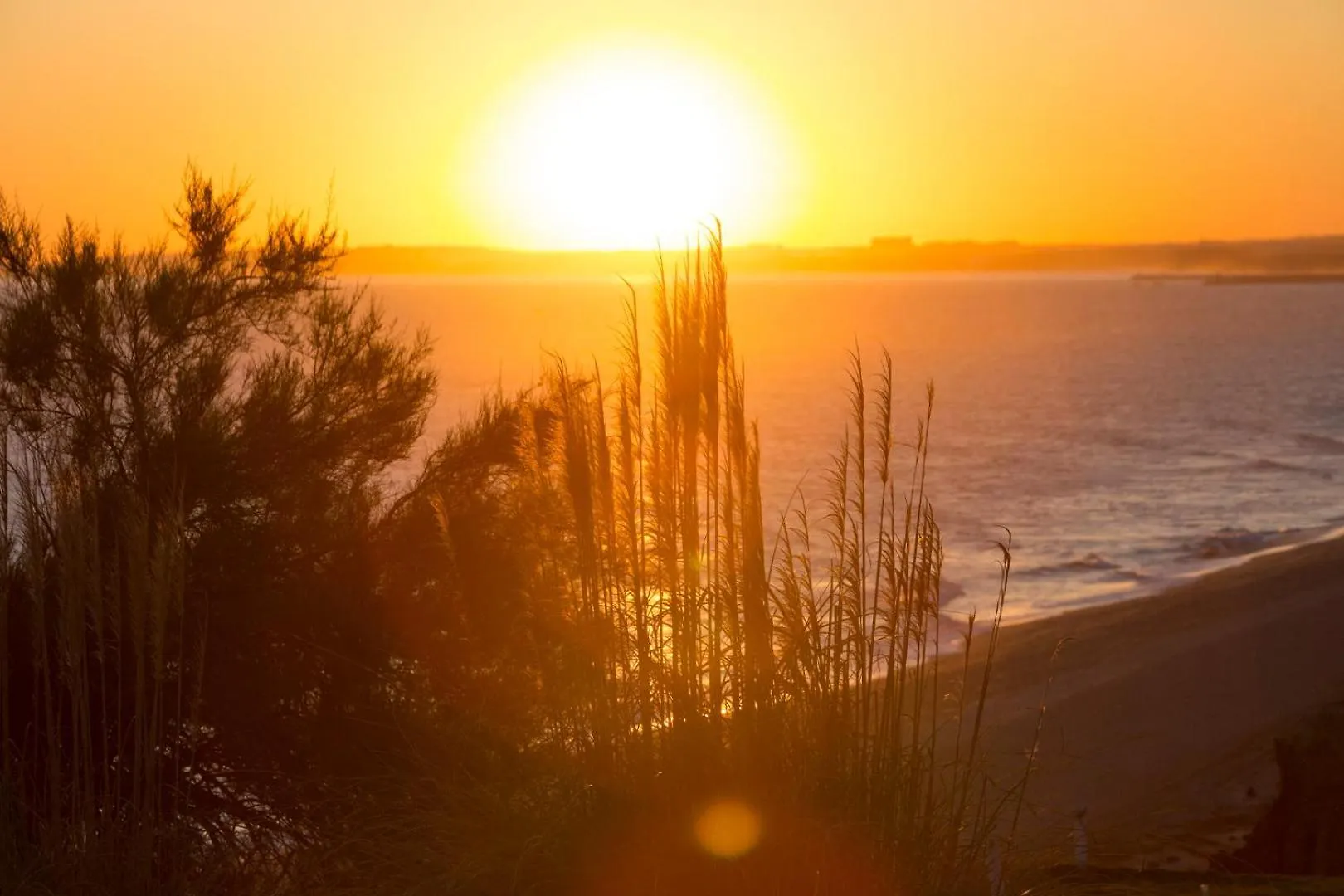 Апартаменты Oleander Terrace Albufeira Фару