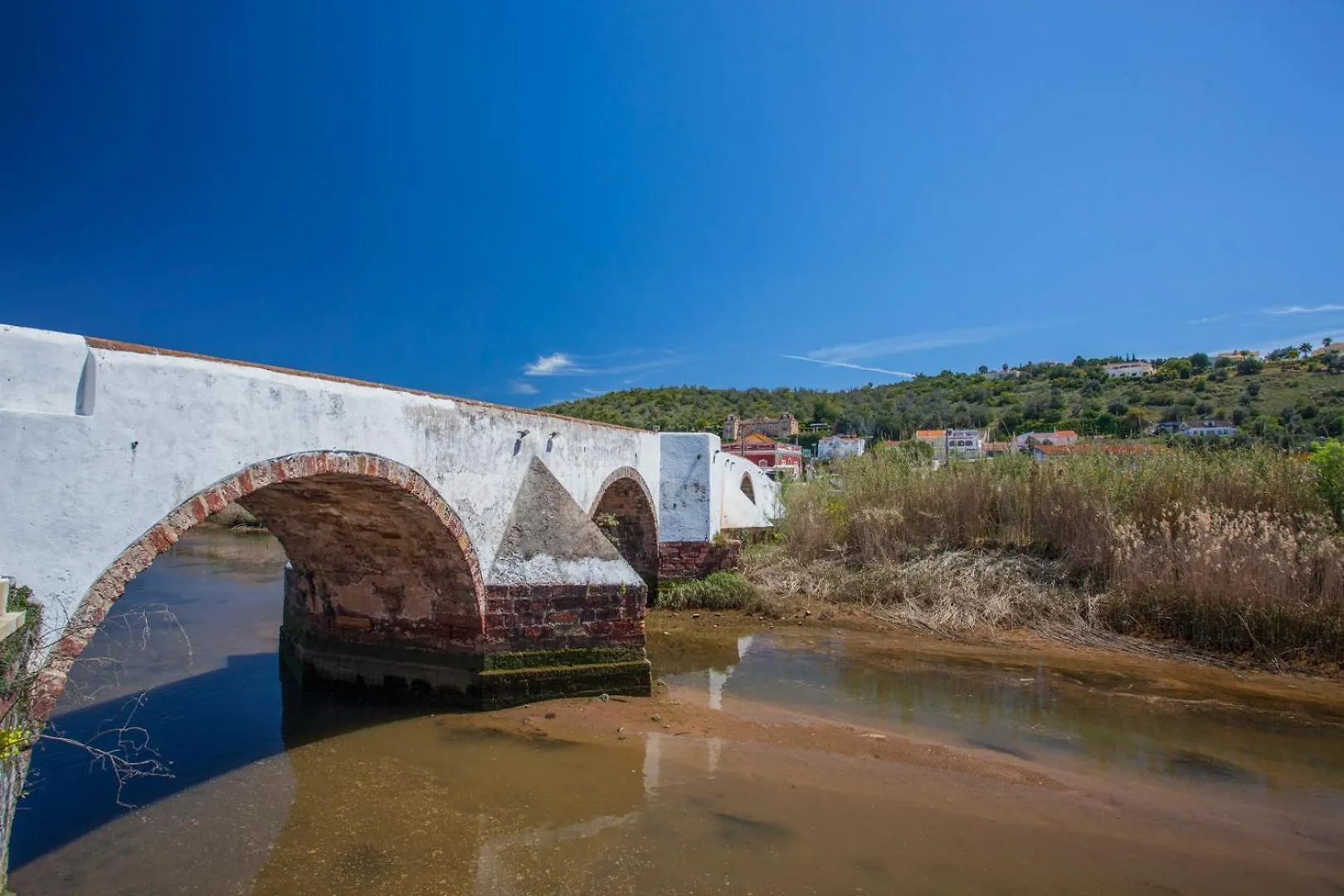 Апартаменты Oleander Terrace Albufeira Фару