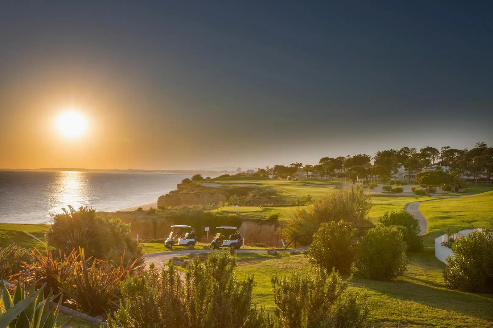 Апартаменты Oleander Terrace Albufeira Фару Португалия