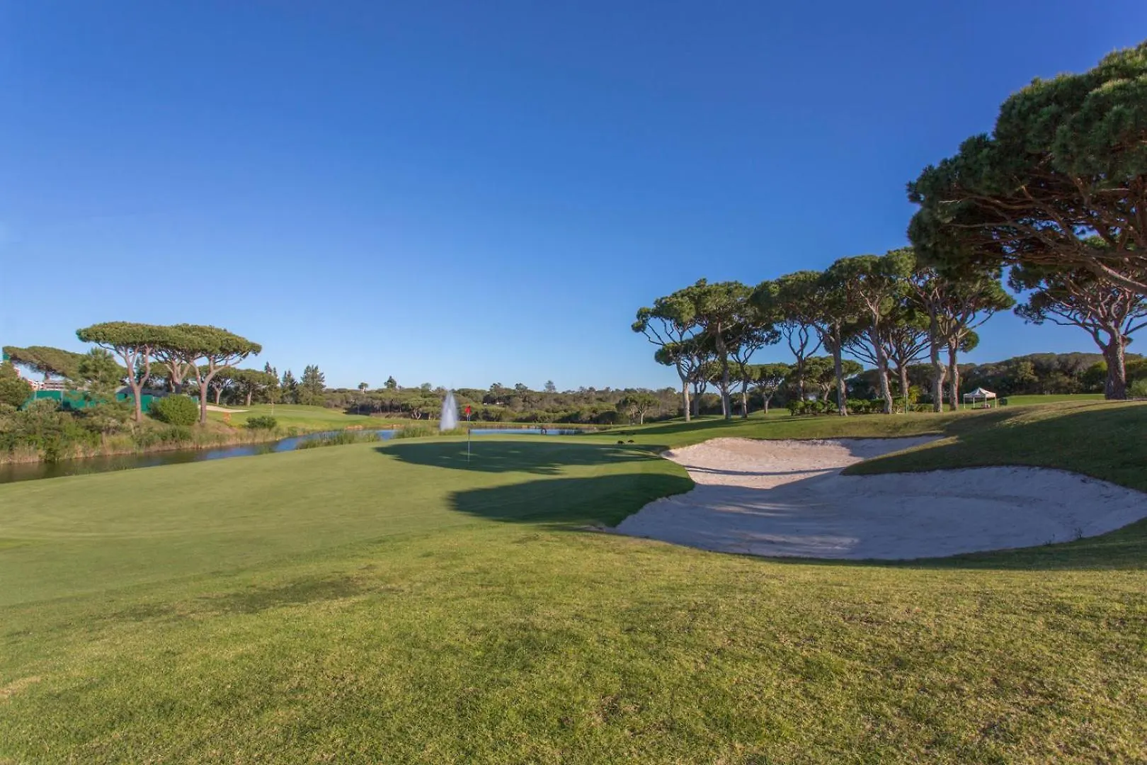 Апартаменты Oleander Terrace Albufeira Фару Португалия