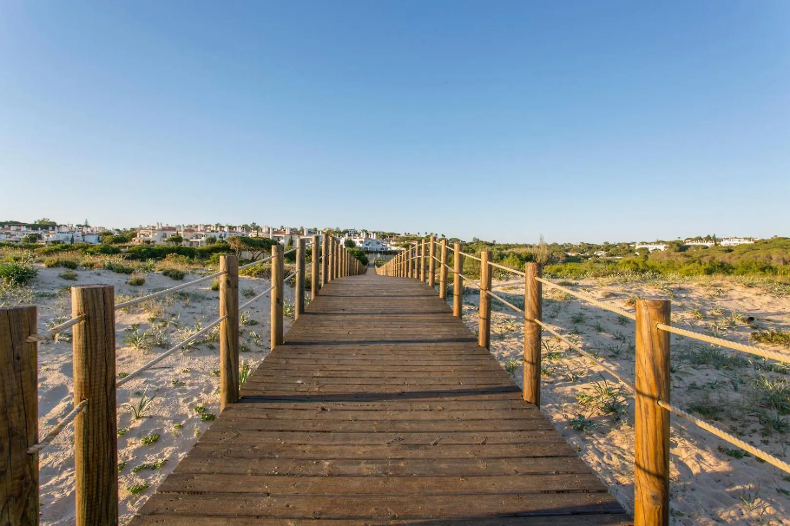 Апартаменты Oleander Terrace Albufeira Фару 0*,