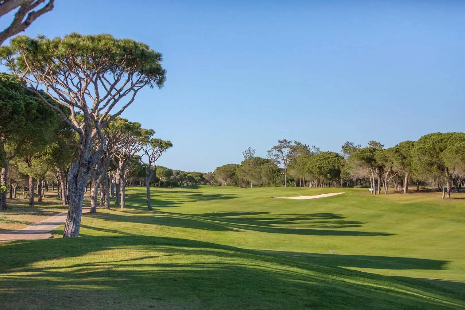 Апартаменты Oleander Terrace Albufeira Фару