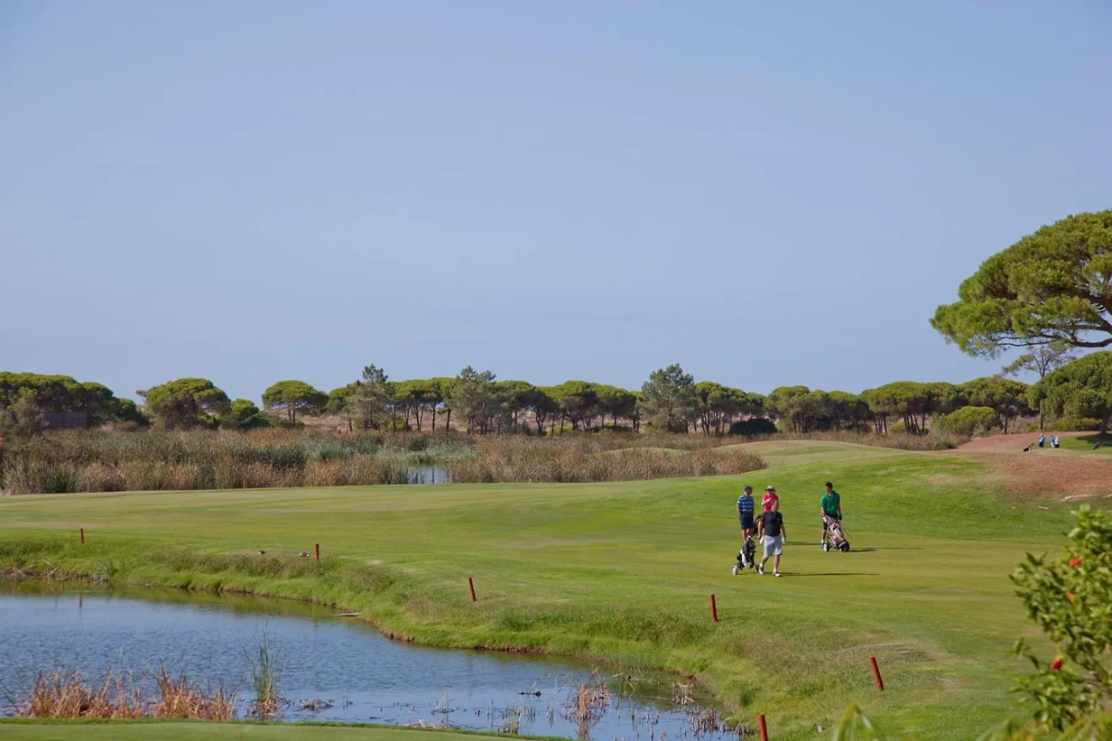 Апартаменты Oleander Terrace Albufeira Фару 0*,  Португалия