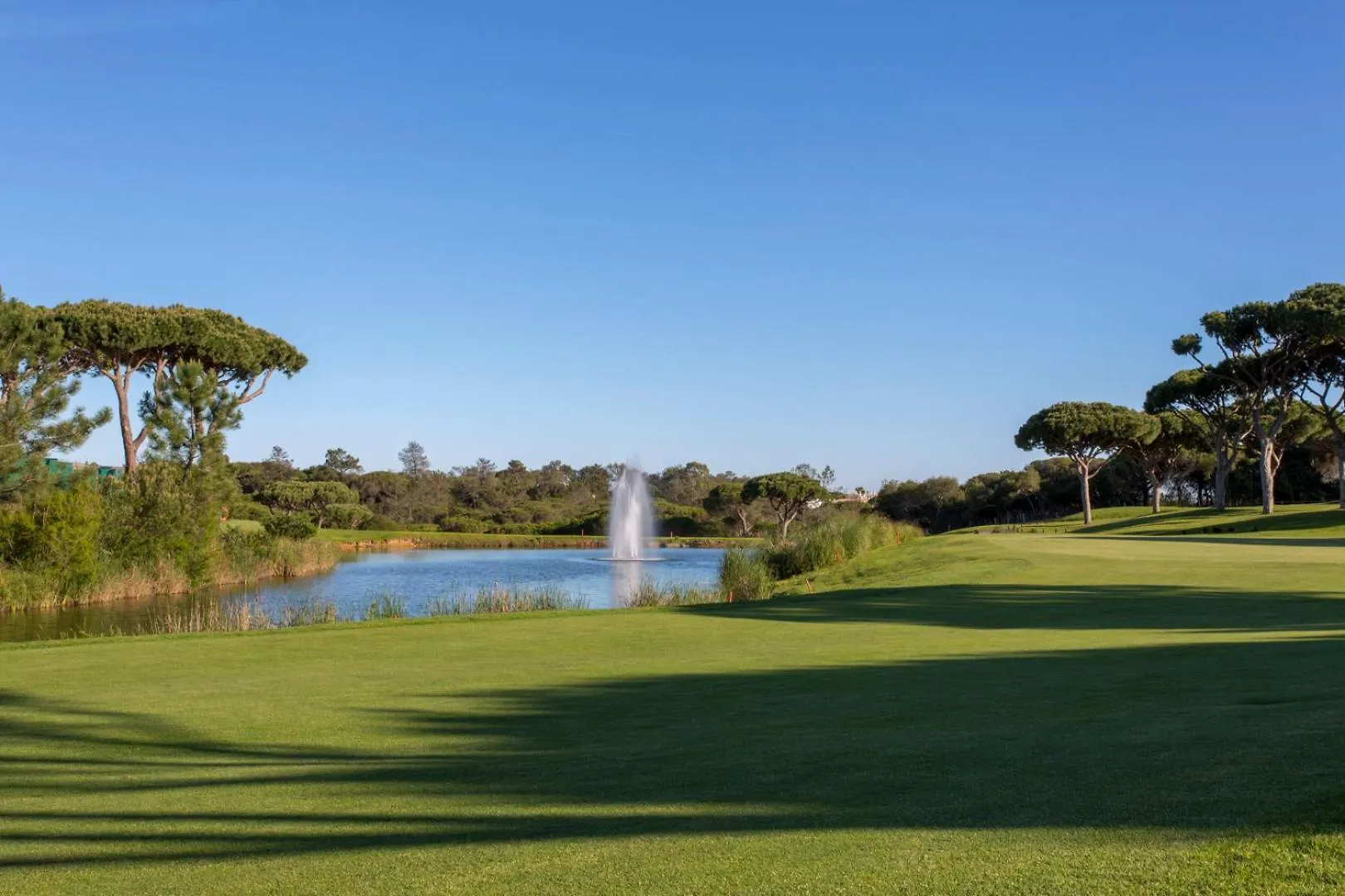 Апартаменты Oleander Terrace Albufeira Фару
