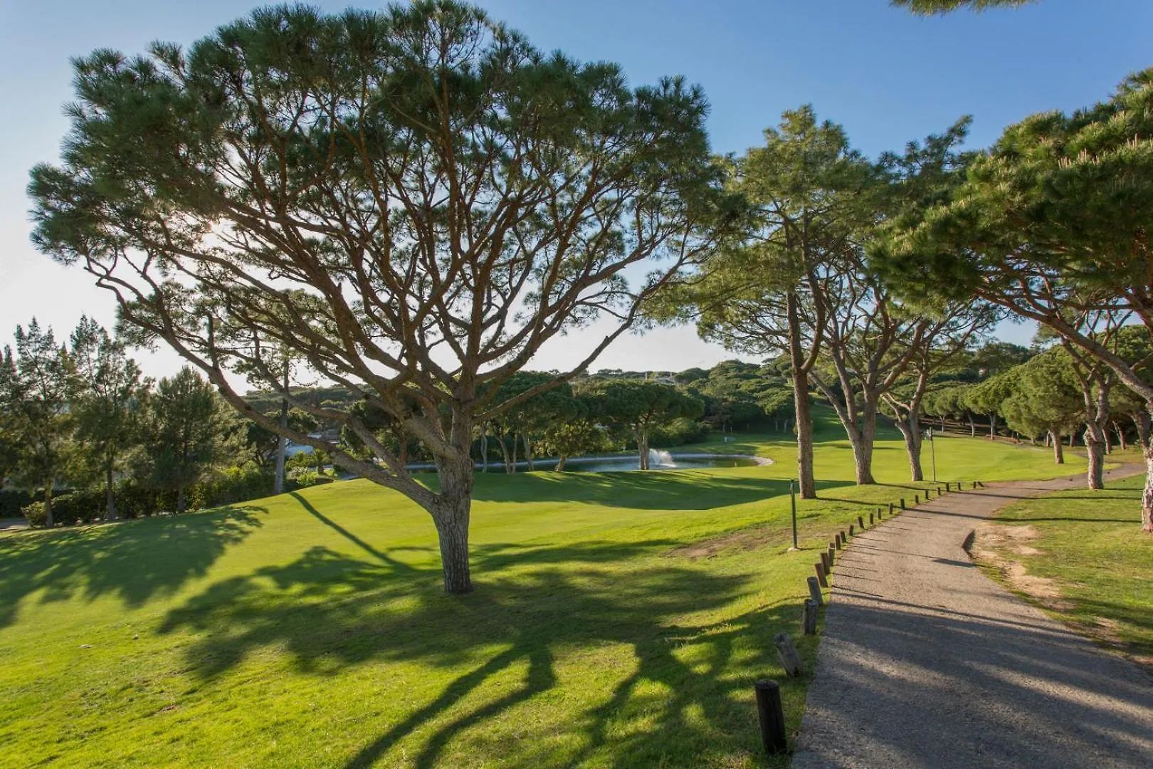 Апартаменты Oleander Terrace Albufeira Фару